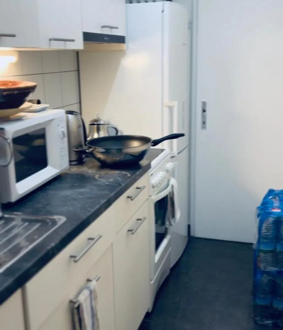 Homestay Chambre Confortable Disponible A Geneve Apartment Switzerland