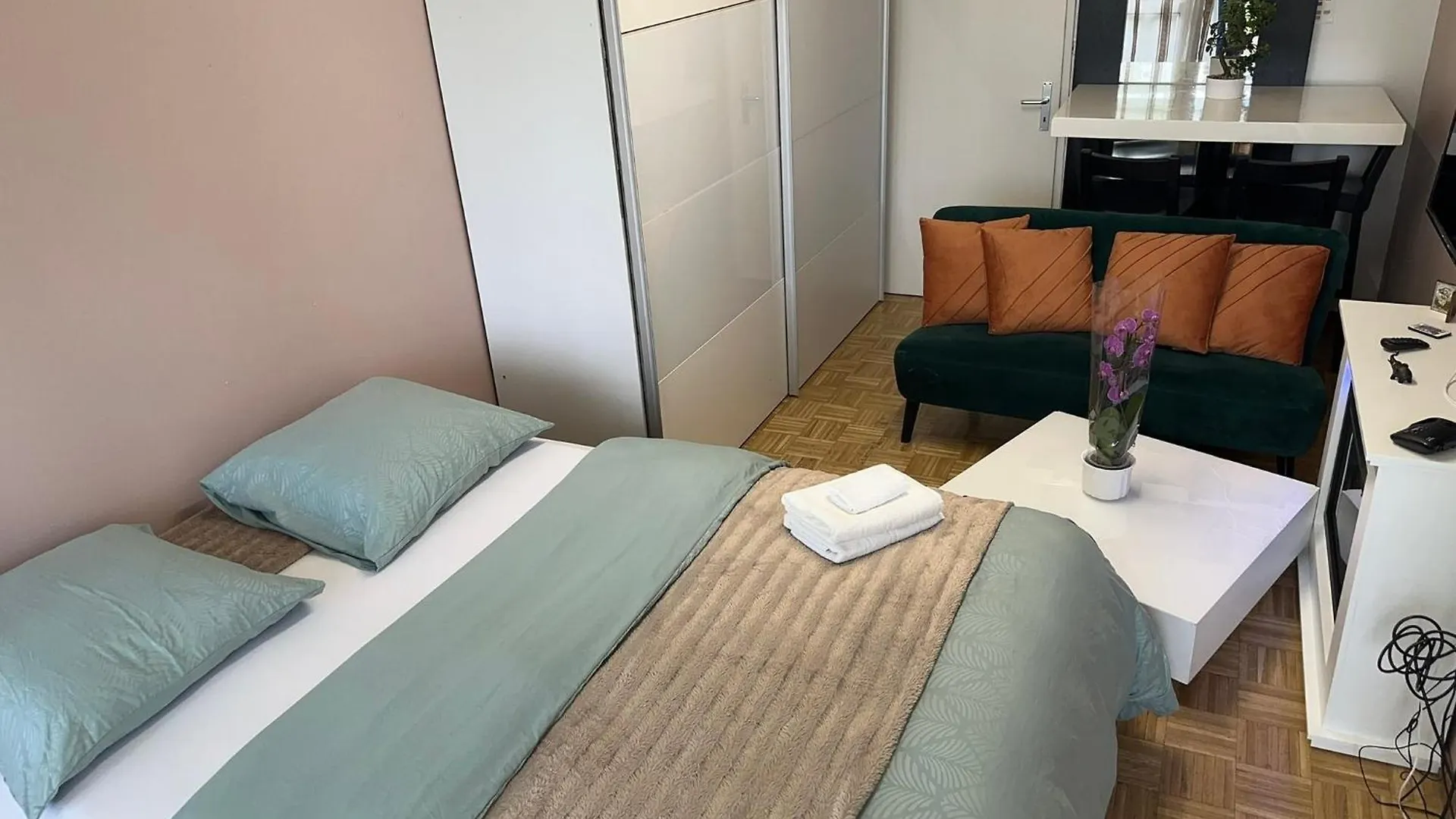 Homestay Chambre Confortable Disponible A Geneve Apartment